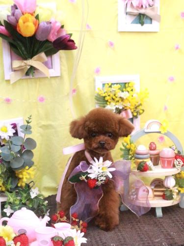 20230304ルイちゃん